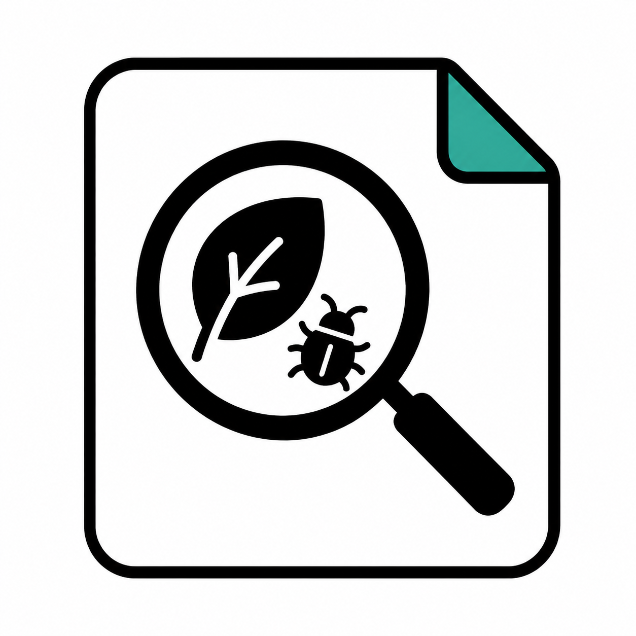 理科（観察など）